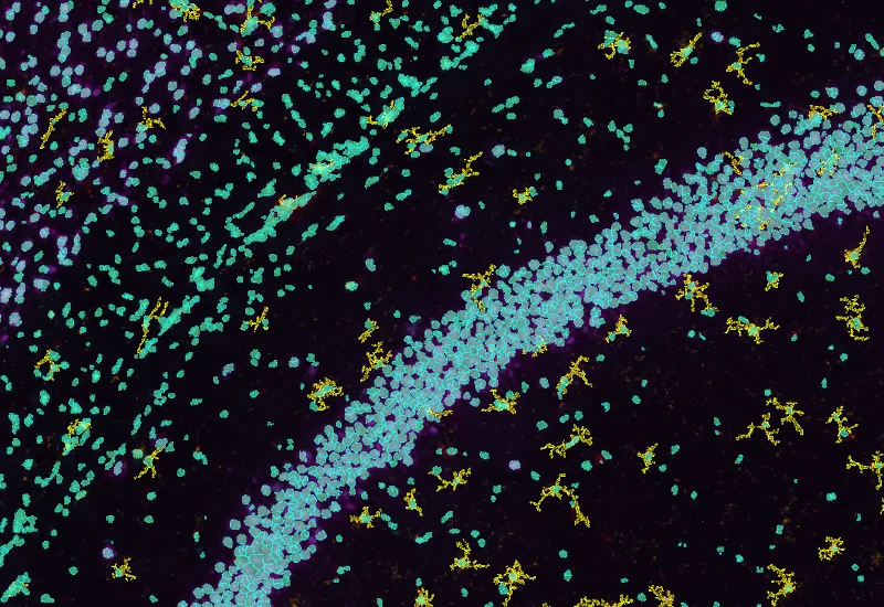 Dynamic Content Image